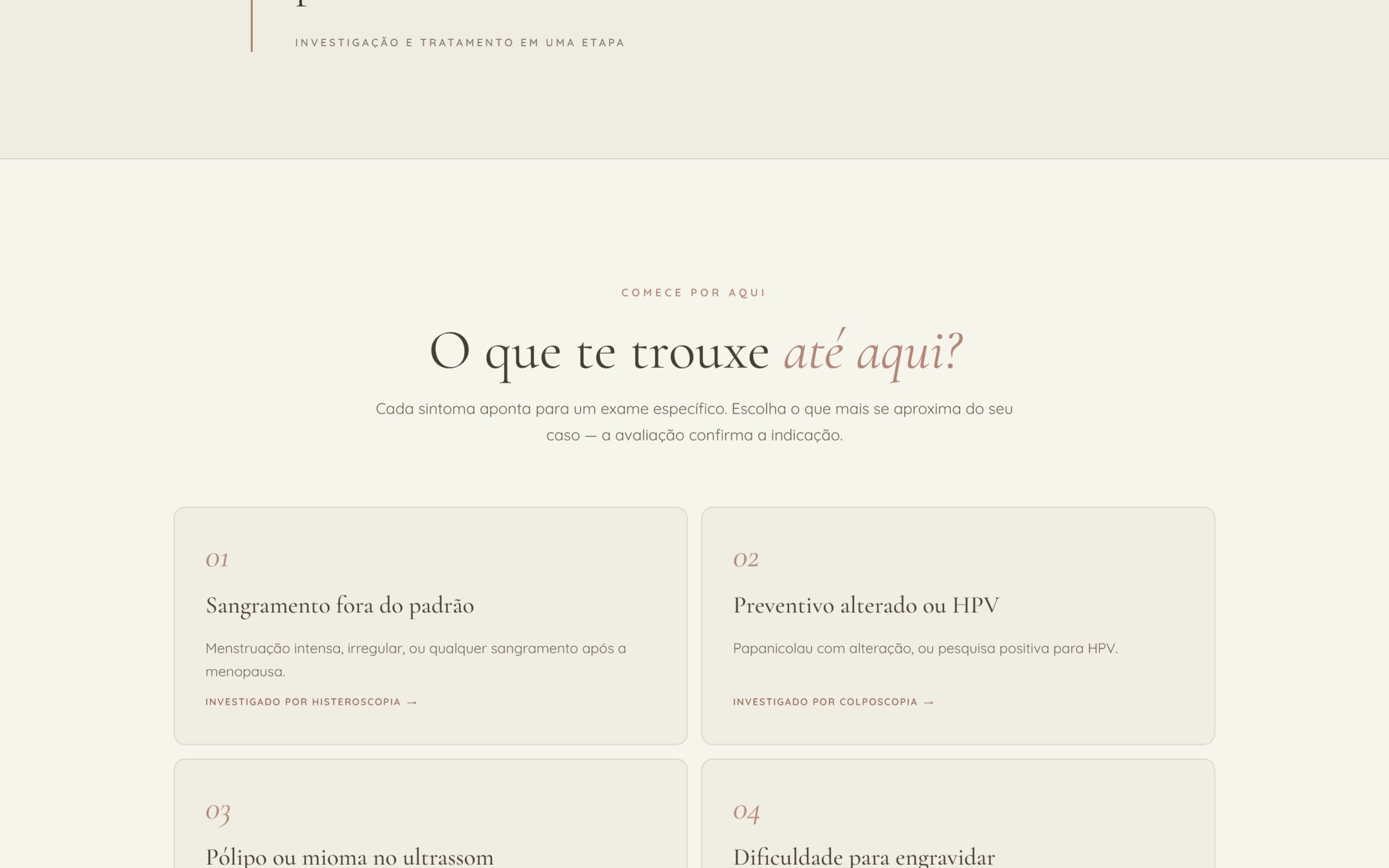 Site de endoscopia ginecológica — design